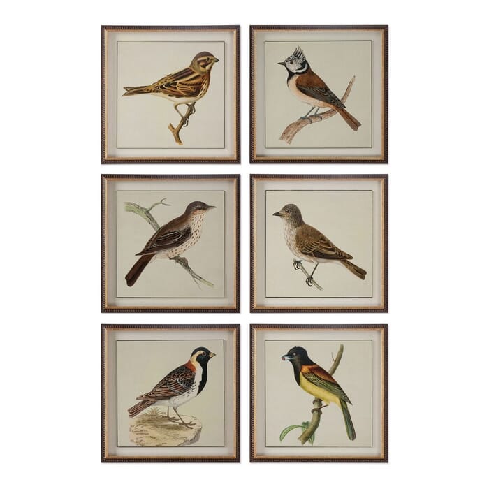 Uttermost Spring Soldiers 15" Bird Prints in Dark Brown Frame (Set of 6) Uttermost Spring Soldiers 15" Bird Prints in Dark Brown Frame (Set of 6)