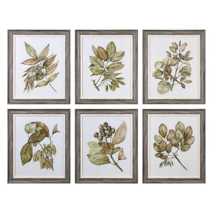 Uttermost Seedlings Prints in Woodtone Frame (Set of 6) Uttermost Seedlings Prints in Woodtone Frame (Set of 6)