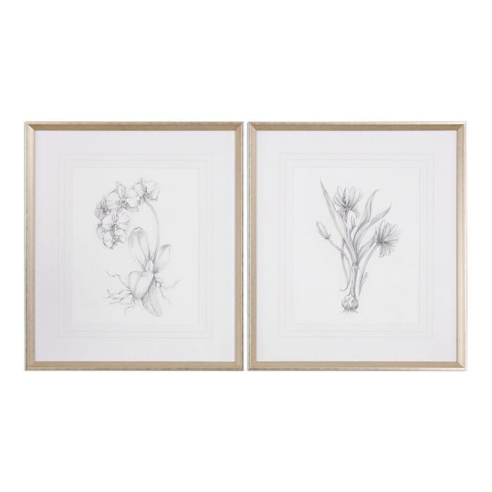 Uttermost Botanical Sketches 32" Prints in Taupe Frame (Set of 2) Uttermost Botanical Sketches 32" Prints in Taupe Frame (Set of 2)