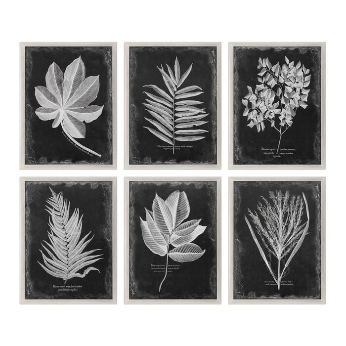 Uttermost Foliage 33.75" Leaf Prints in Champagne Silver Frame (Set of 6) Uttermost Foliage 33.75" Leaf Prints in Champagne Silver Frame (Set of 6)