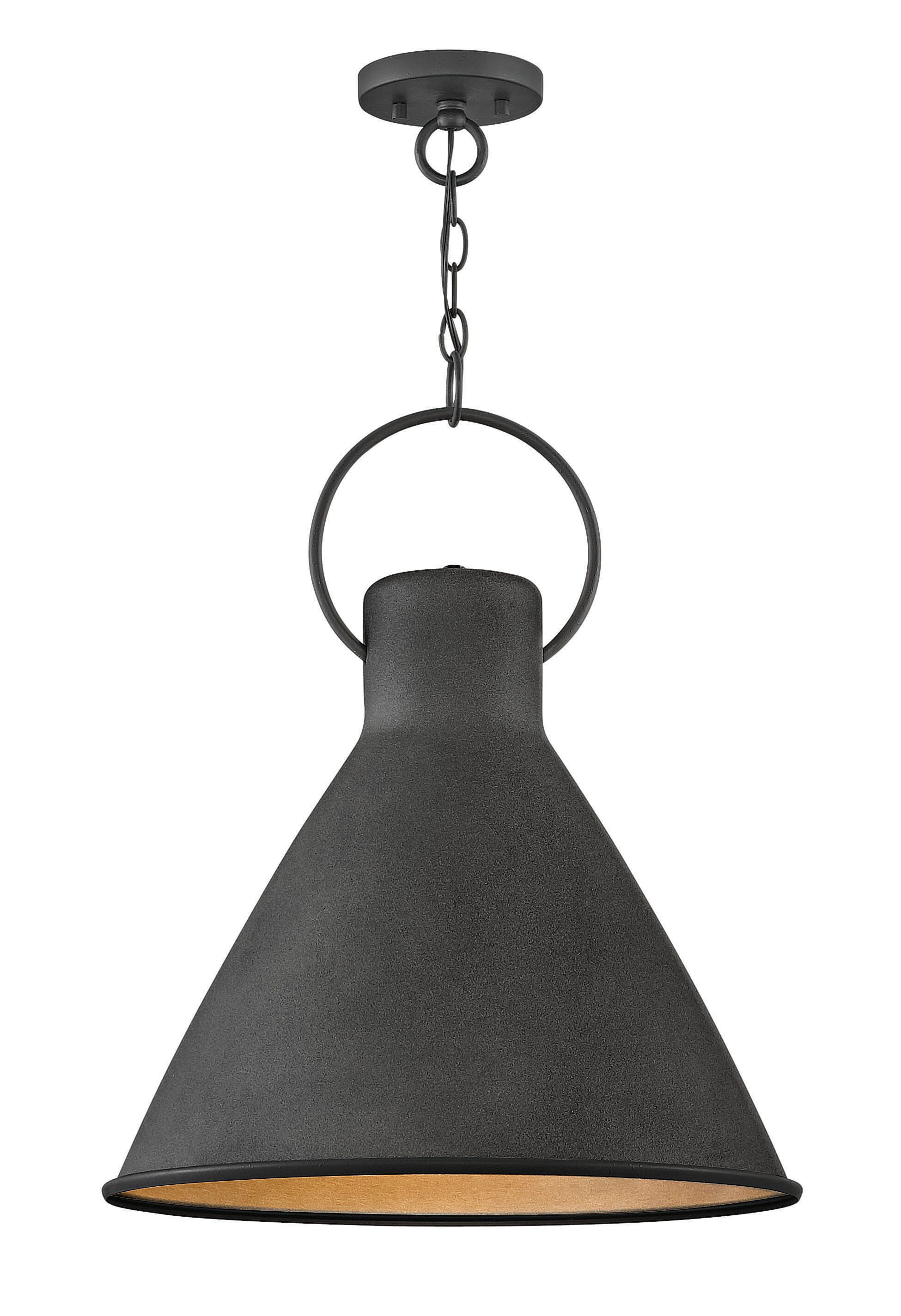 Winnie 1-Light Pendant In Aged Zinc