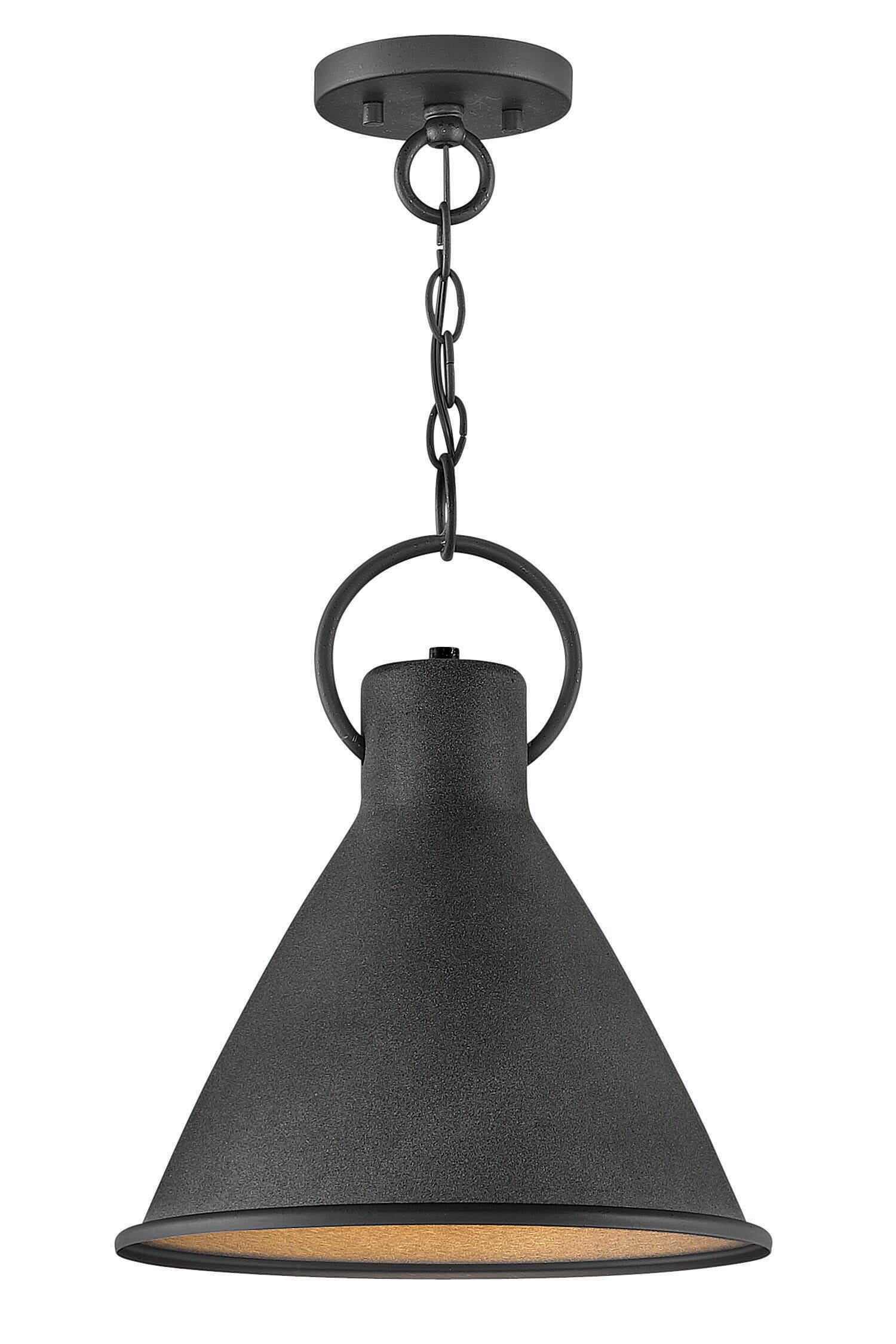 Winnie 1-Light Pendant In Aged Zinc