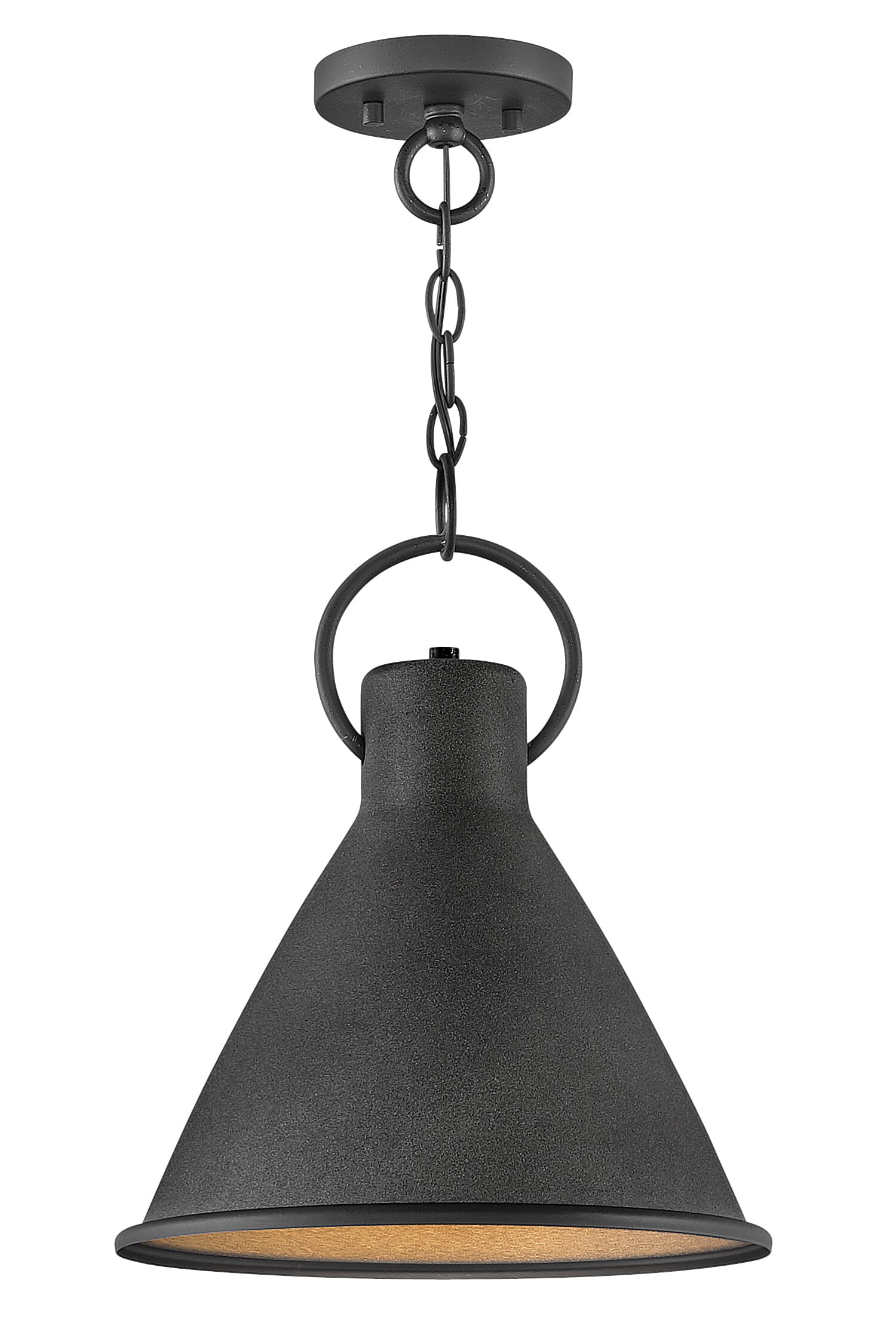 Aged Zinc LED Pendant from the Winnie Collection