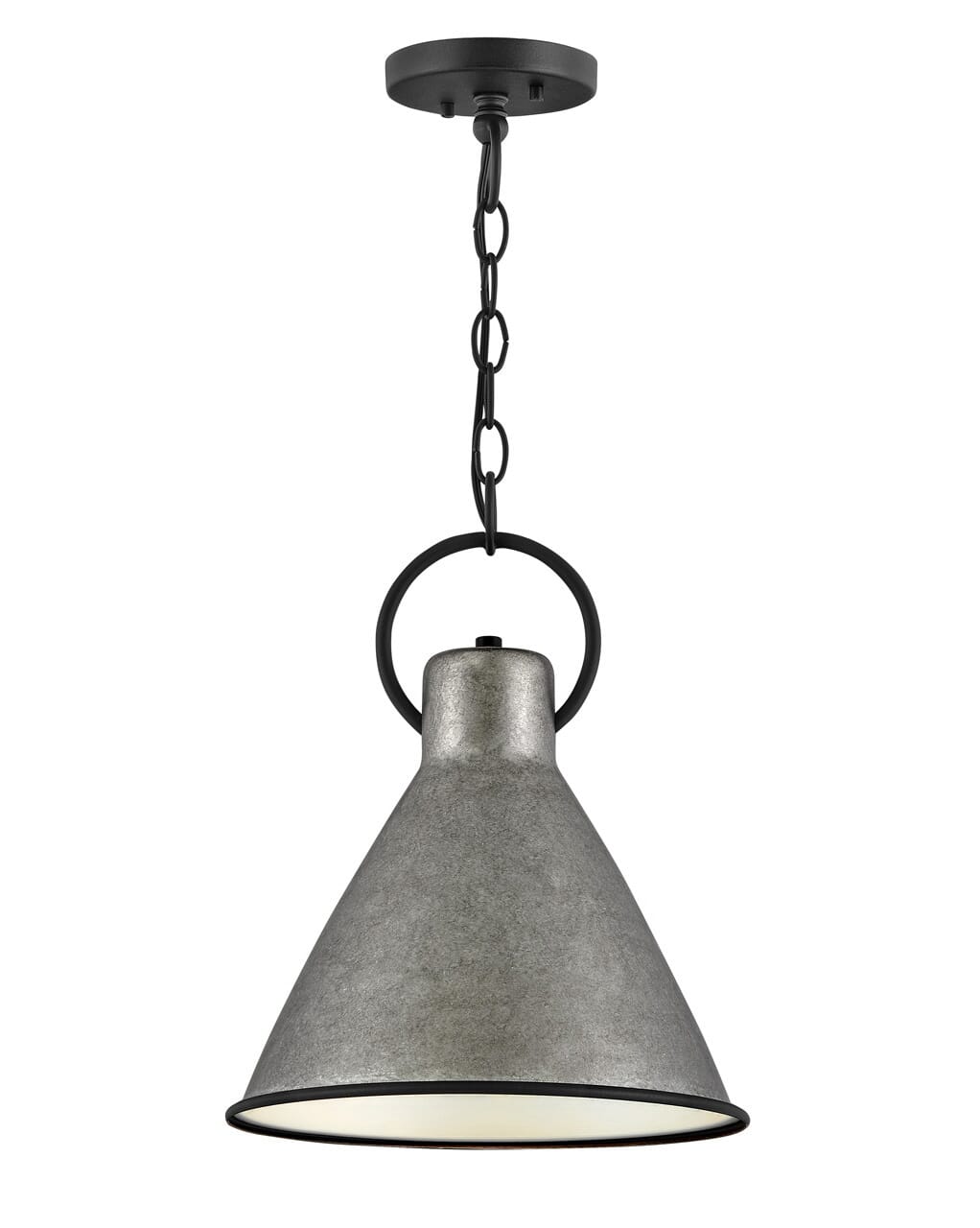 Winnie 1-Light Pendant In Rustic Pewter