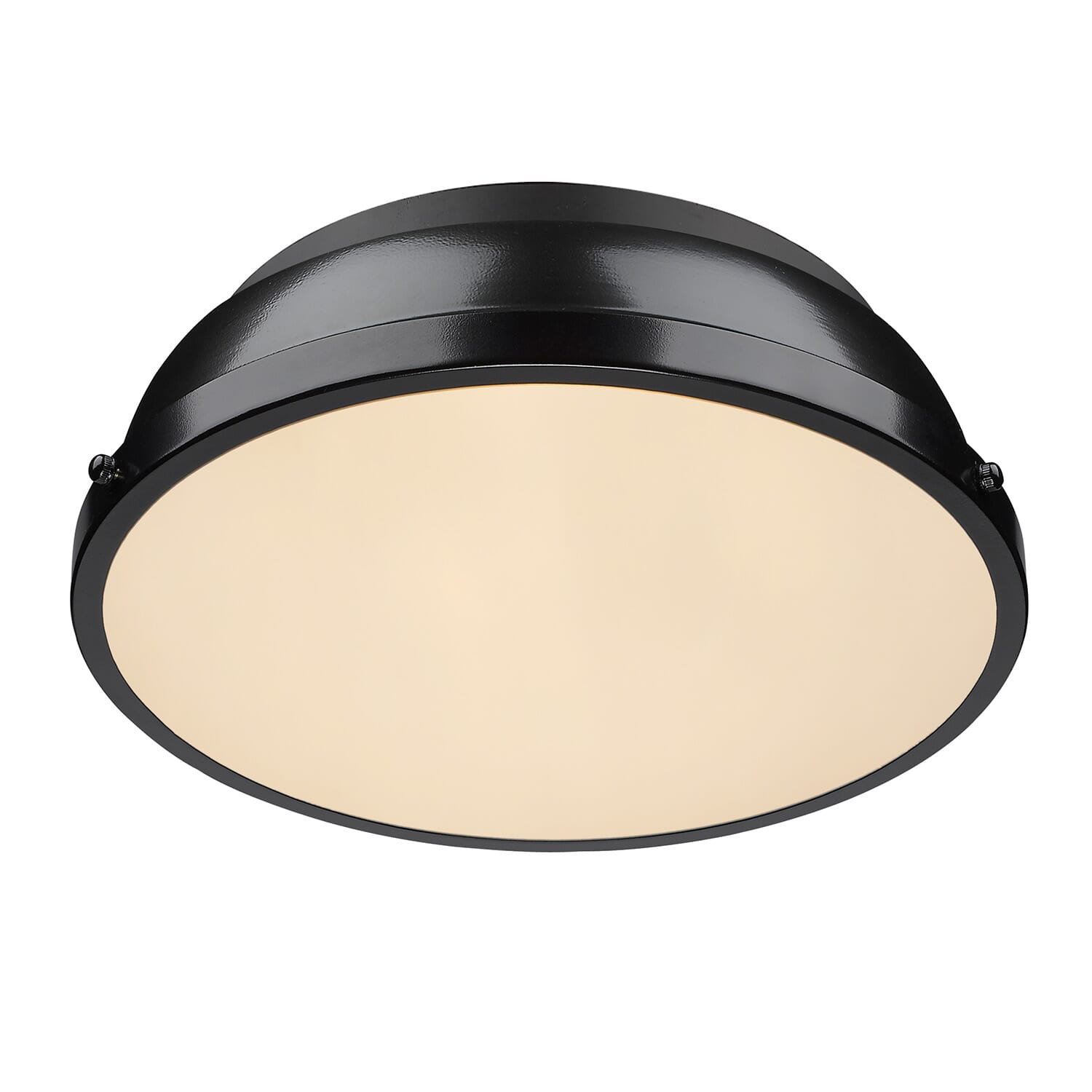 Golden Duncan 2-Light 14" Ceiling Light in Matte Black and Black