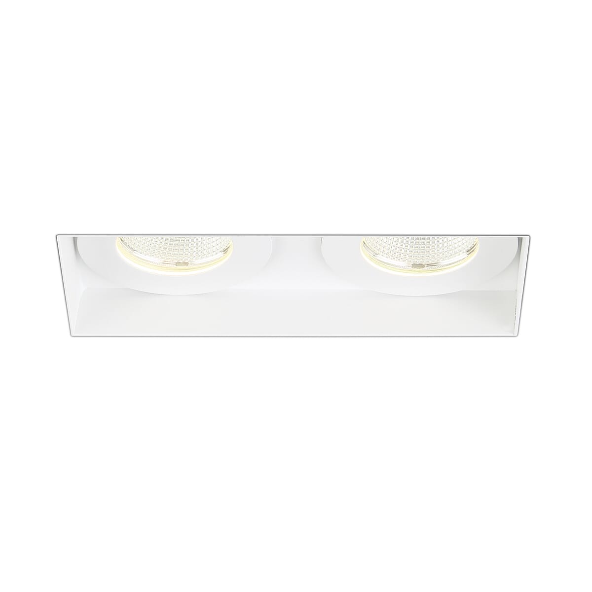 Eurofase Amigo 2-Light Ceiling Light in White