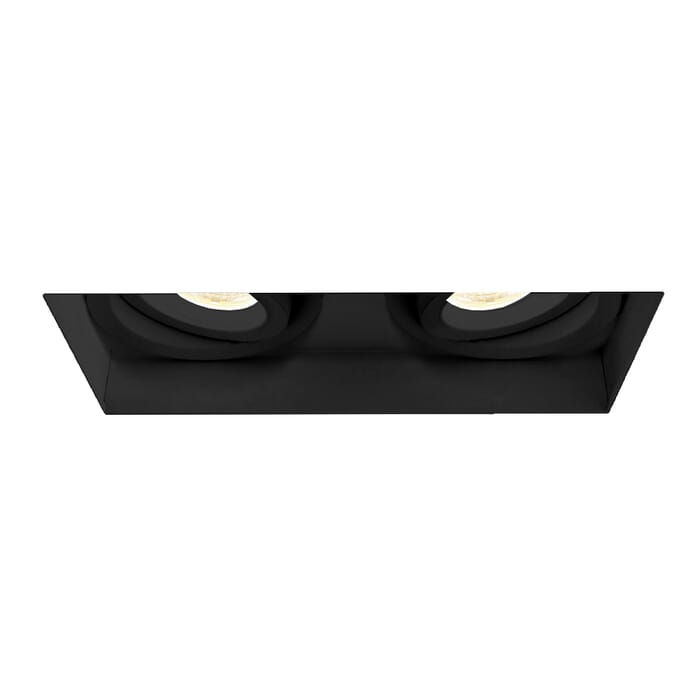 Eurofase Amigo 2-Light Ceiling Light in Black Eurofase Amigo 2-Light Ceiling Light in Black