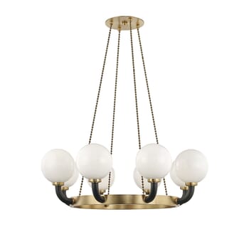 Hudson Valley Werner Pendant Light in Aged Brass and Black