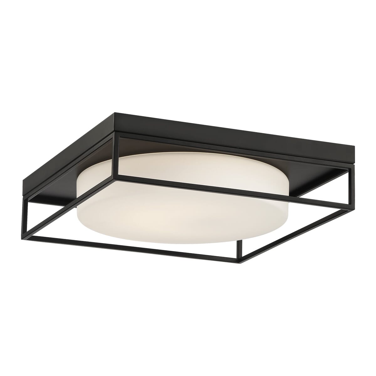 Rover Ceiling Light - image