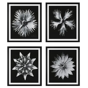 Uttermost Contemporary Floret Framed Prints, Set Of 4 by Grace Feyock