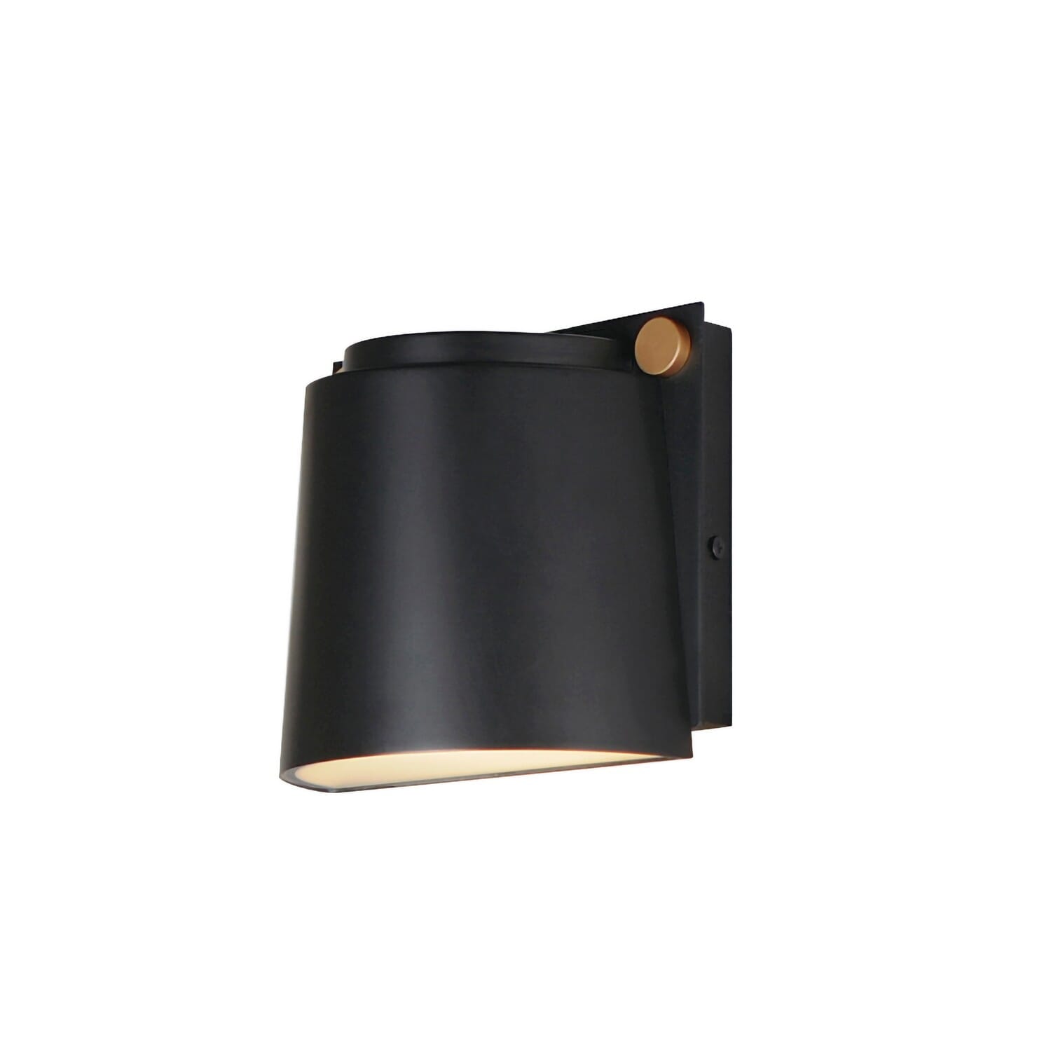 Black   Antique Brass LED Outdoor Wall Sconce from the Rivet Collection