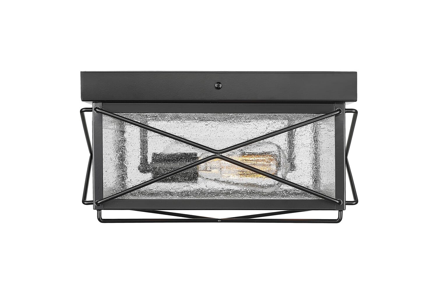 Powder Coated Black Two Light Outdoor Flush Mount from the Robinson Collection