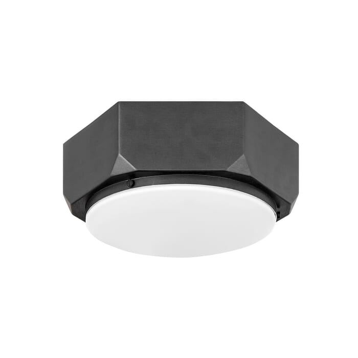 Hinkley Hex 2-Light Ceiling Light in Brushed Graphite Hinkley Hex 2-Light Ceiling Light in Brushed Graphite