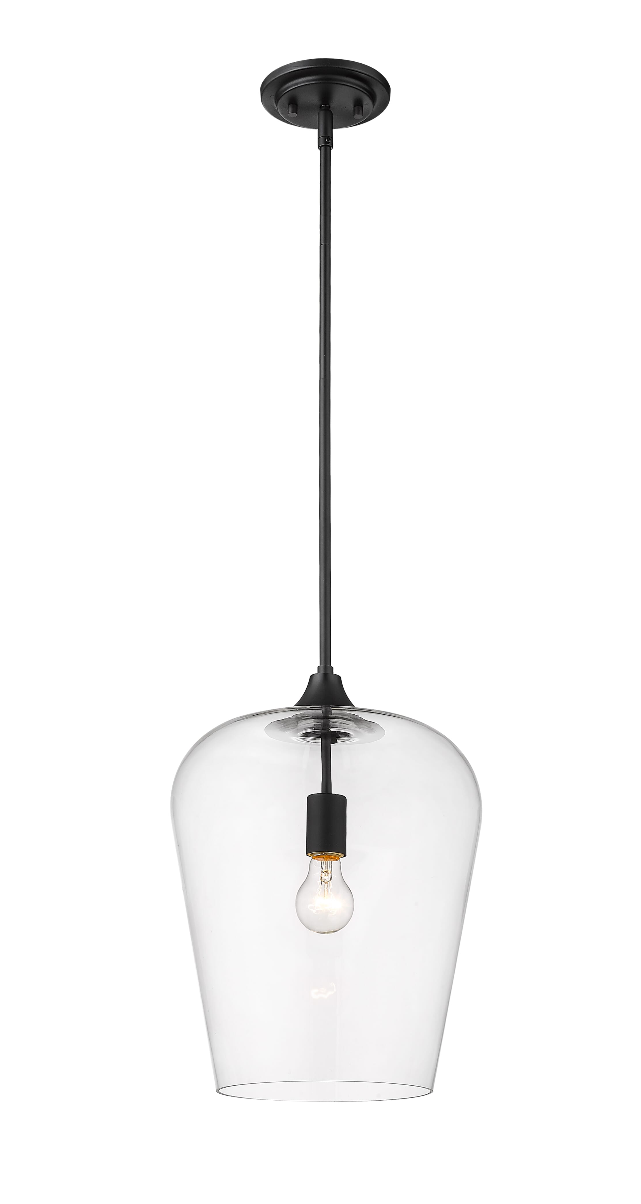 Z-Lite Joliet 1-Light Pendant Light In Matte Black