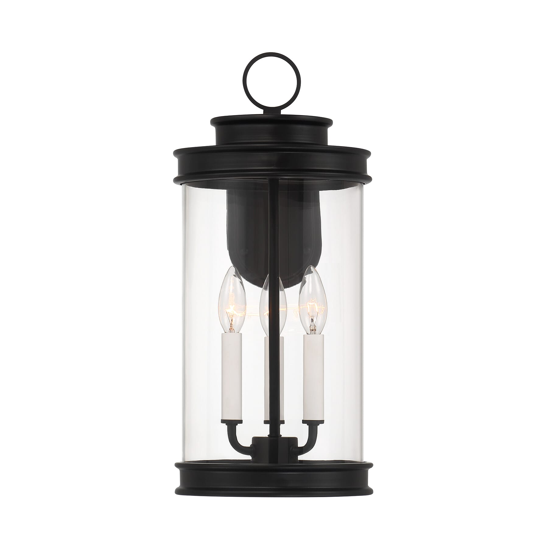 Englewood 3-Light Outdoor Wall Lantern in Matte Black