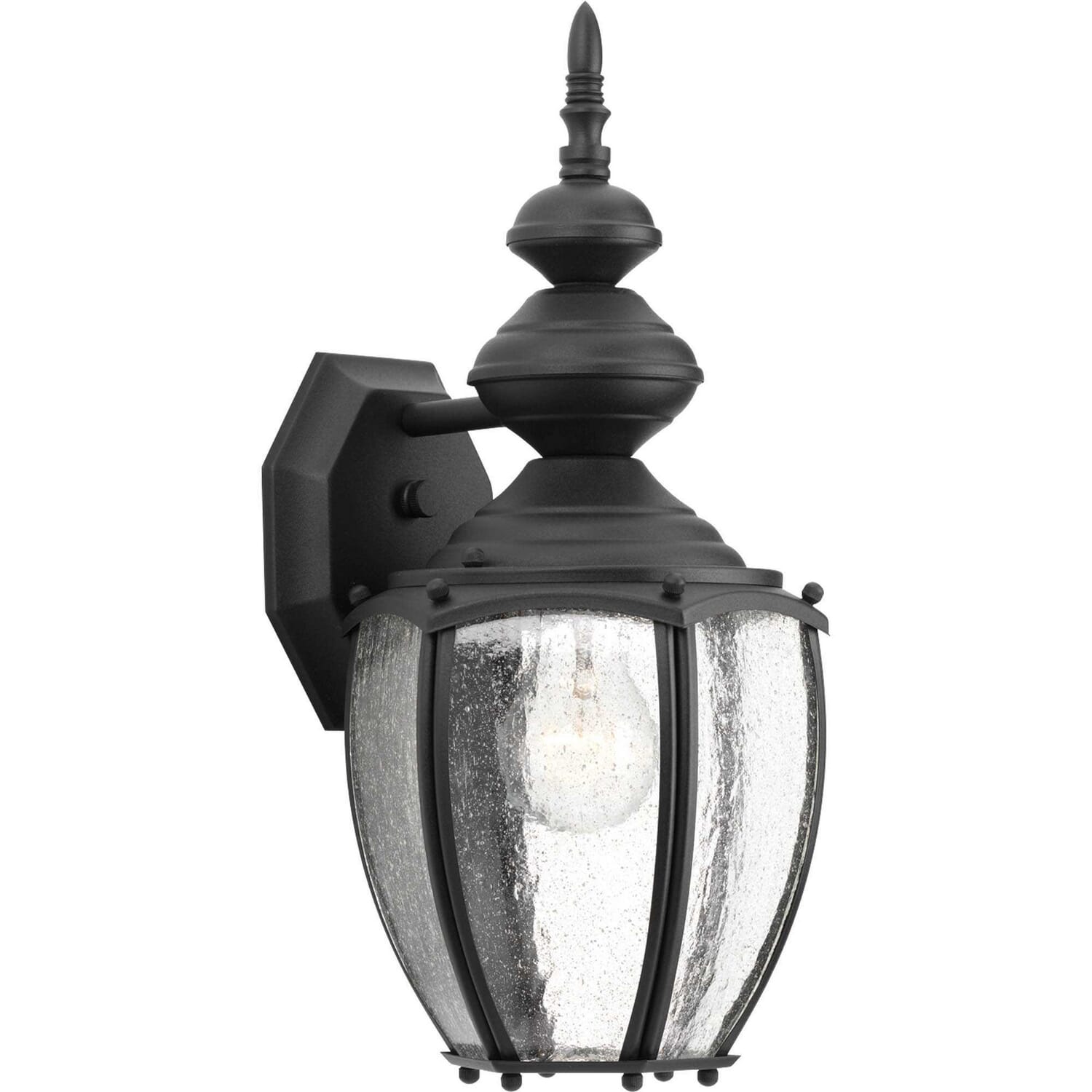 Black One Light Wall Lantern from the Roman Coach Collection