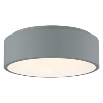 Access Radiant Ceiling Light in Gray