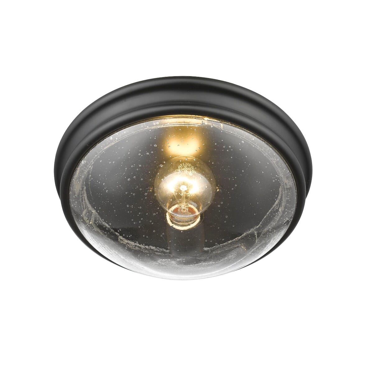 1-Light Ceiling Light in Matte Black