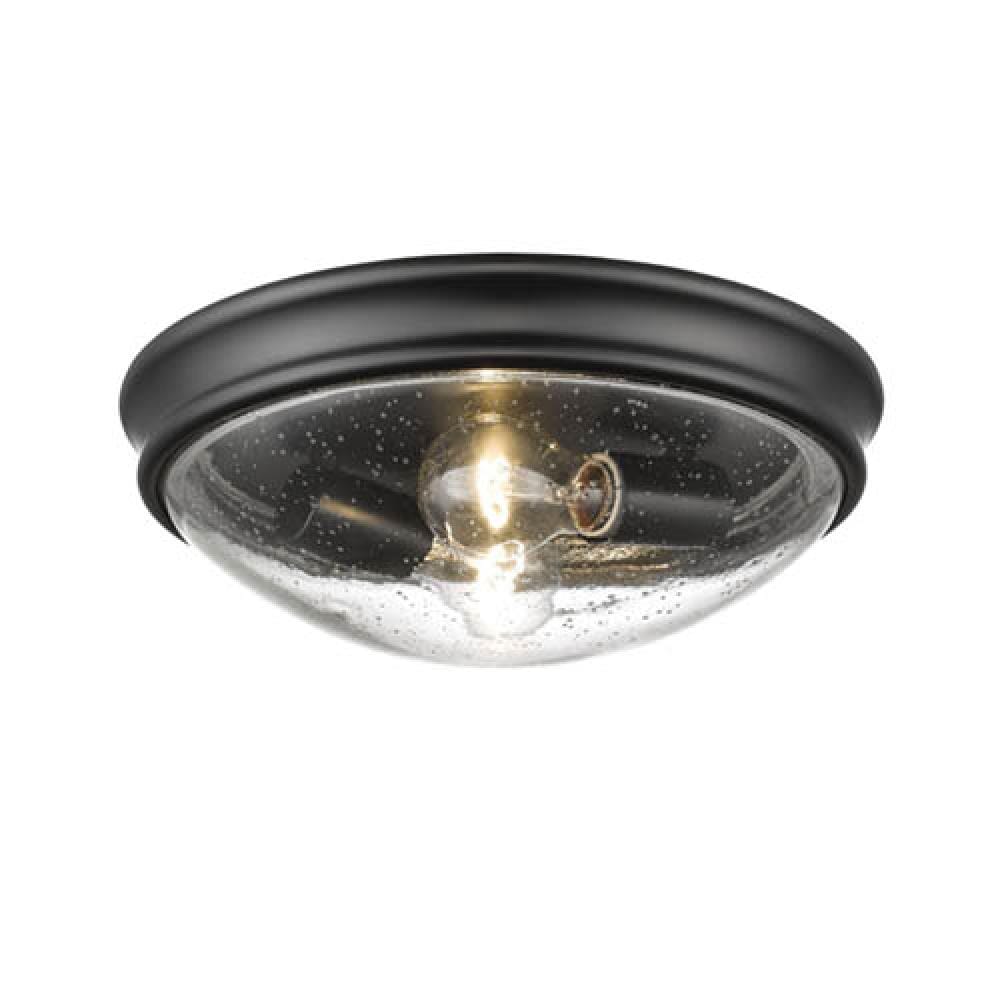 2-Light Ceiling Light in Matte Black