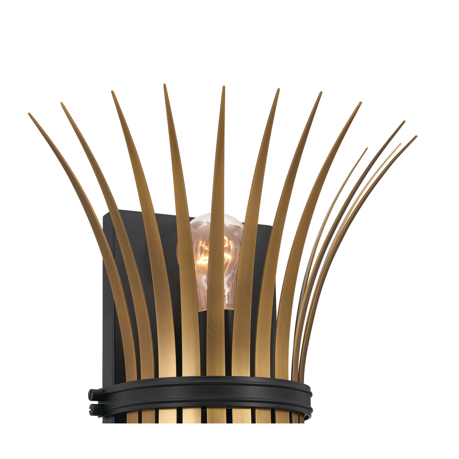 Baile 2-Light Wall Sconce in Black