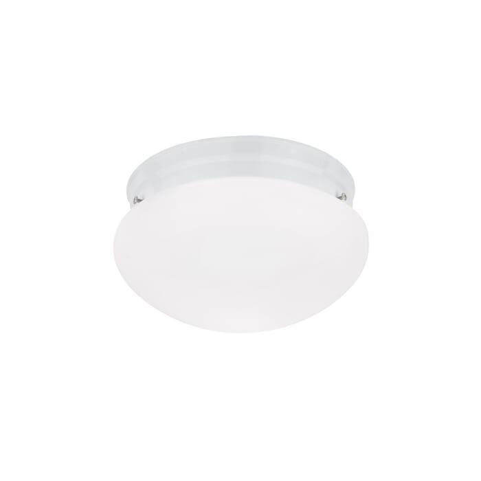 Sea Gull Webster Ceiling Light in White Sea Gull Webster Ceiling Light in White