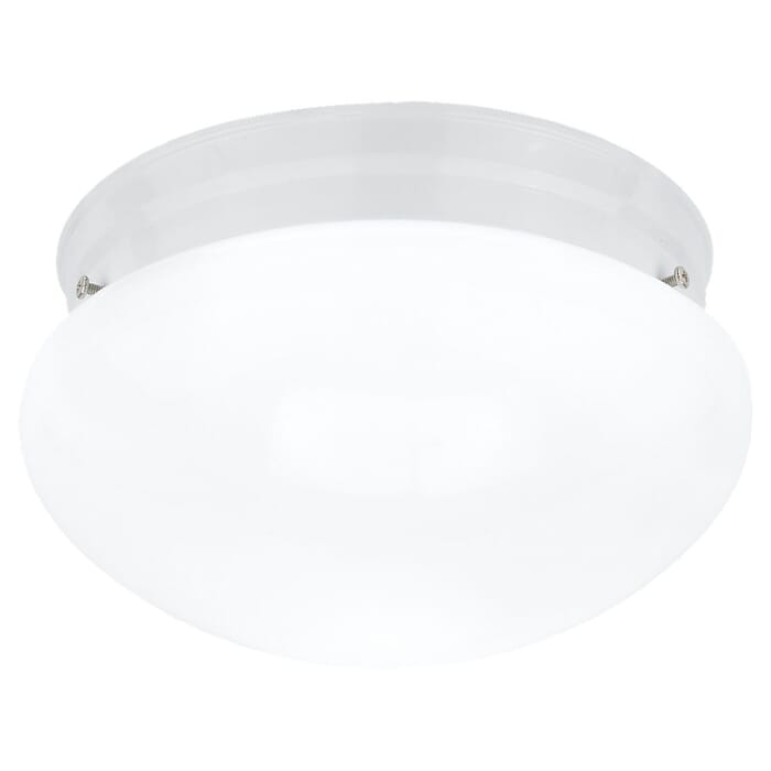 Sea Gull Webster 2-Light Ceiling Light in White Sea Gull Webster 2-Light Ceiling Light in White