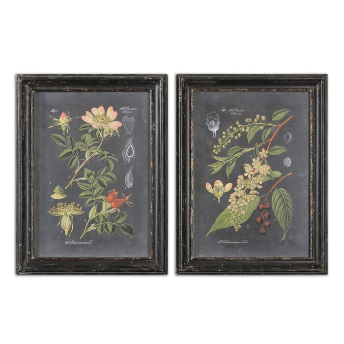 Uttermost Midnight Botanicals Wall Art in Distressed Black Frame (S/2) Uttermost Midnight Botanicals Wall Art in Distressed Black Frame (S/2)