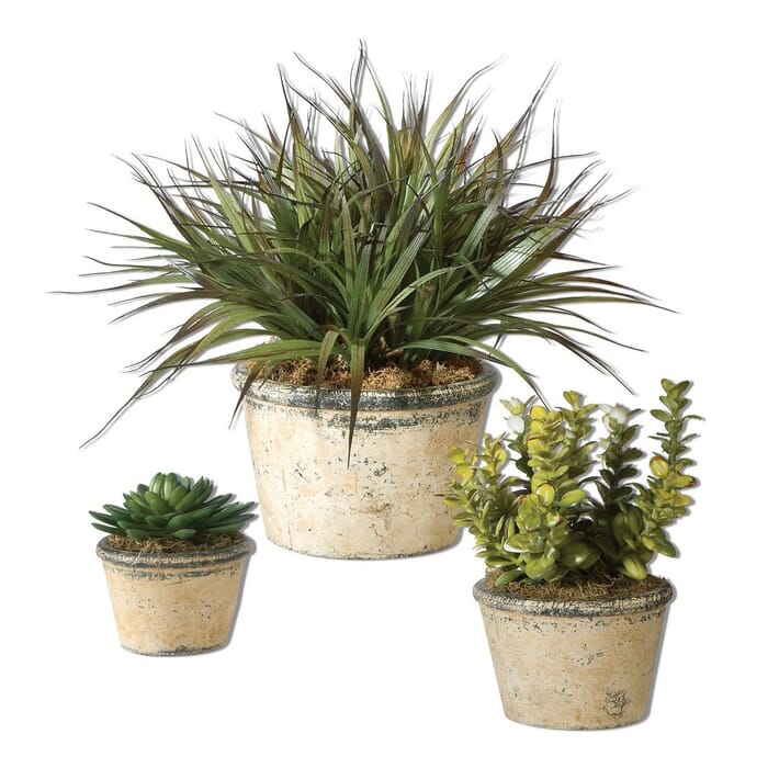 Uttermost La Costa Greenery Succulent/Yucca Grass in Dark Gray/Tan (S/3) Uttermost La Costa Greenery Succulent/Yucca Grass in Dark Gray/Tan (S/3)