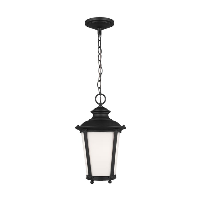 Sea Gull Cape May Outdoor Hanging Light in Black Sea Gull Cape May Outdoor Hanging Light in Black