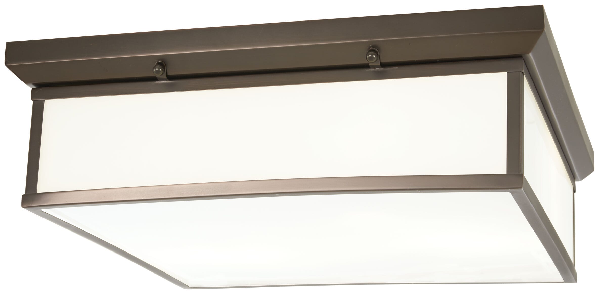 20" Ceiling Light in Harvard Court Bronze -Plated