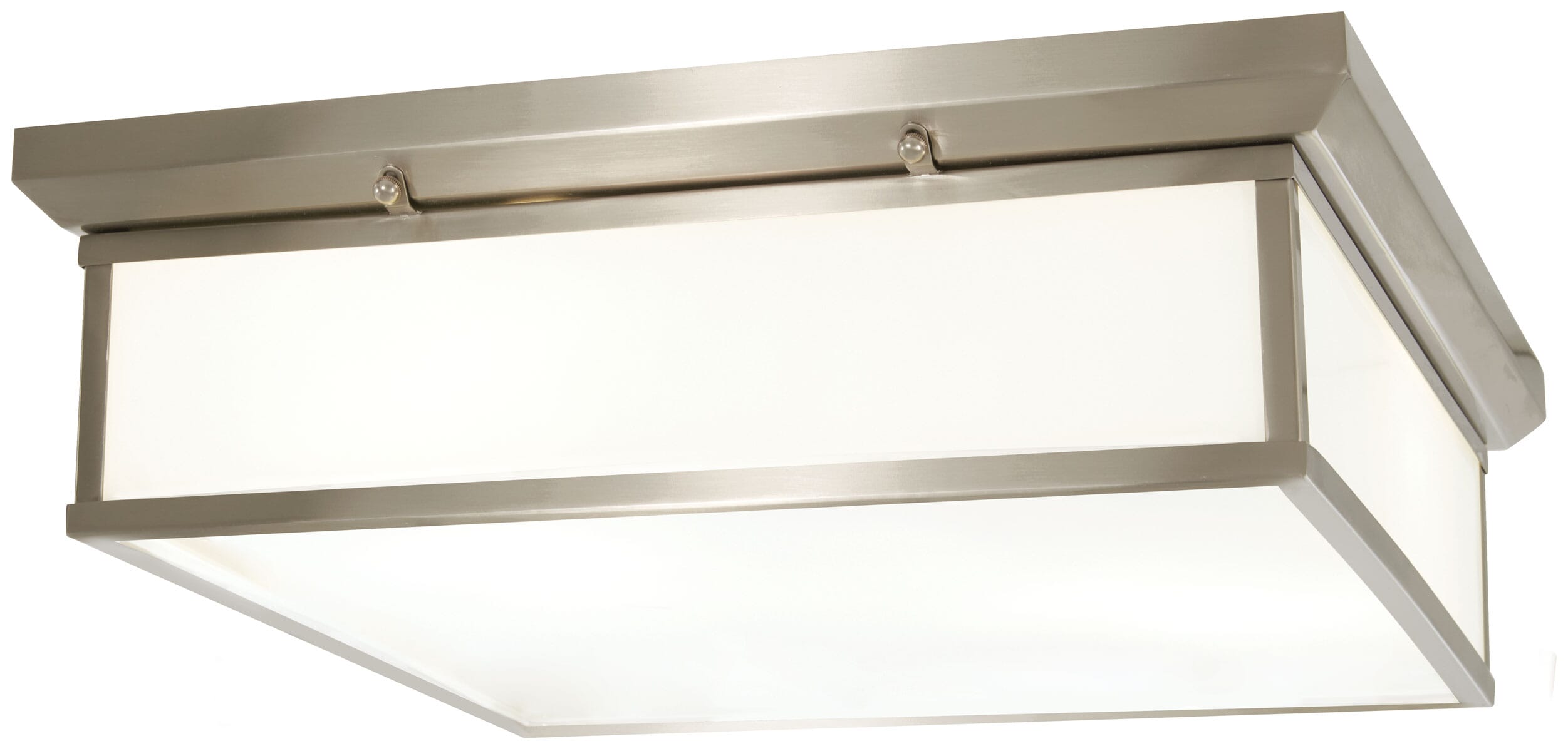 20" Ceiling Light in Brushed Nickel