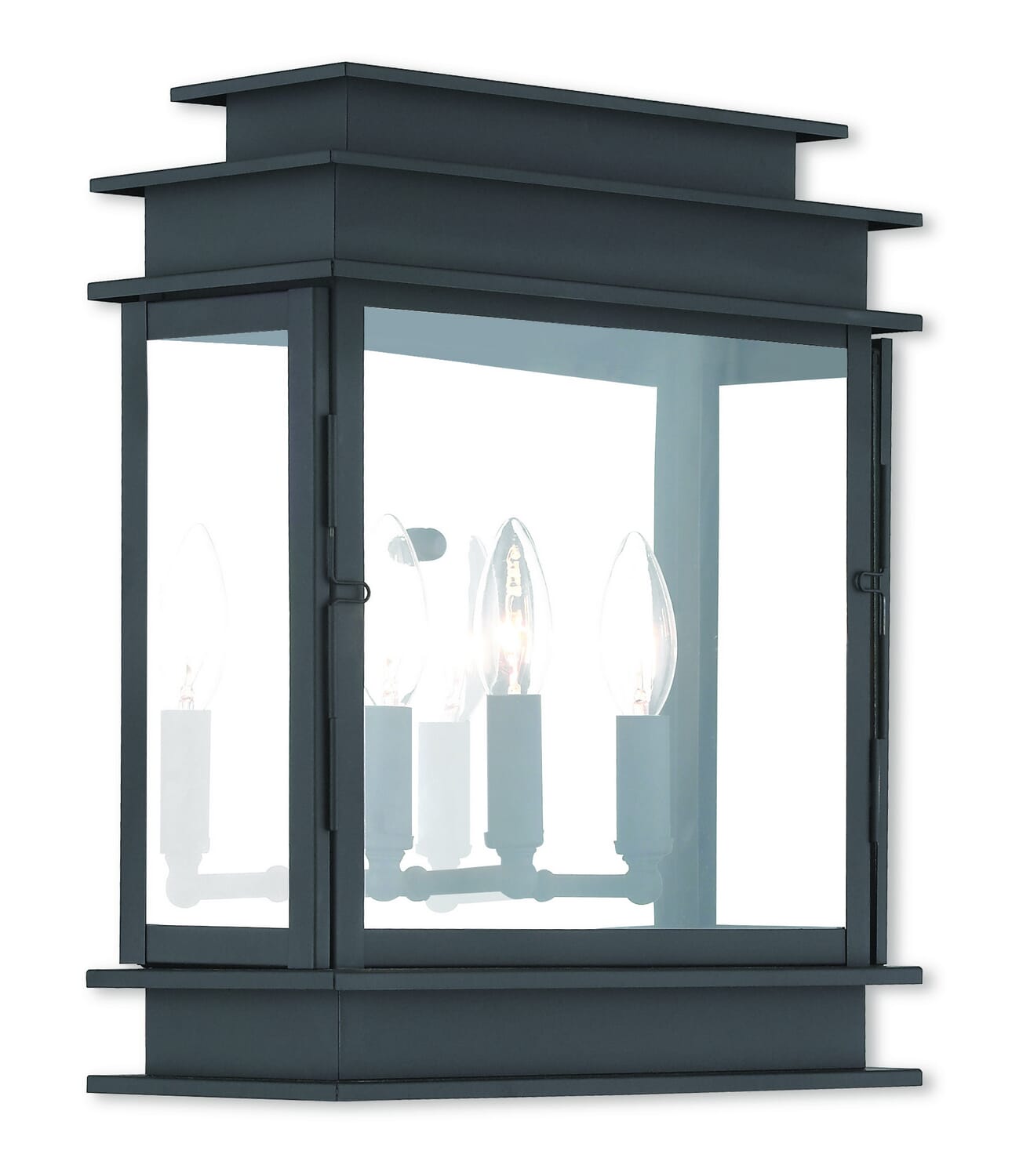 Princeton 3-Light Outdoor Wall Lantern in Black w with Polished Chrome Stainless Steel