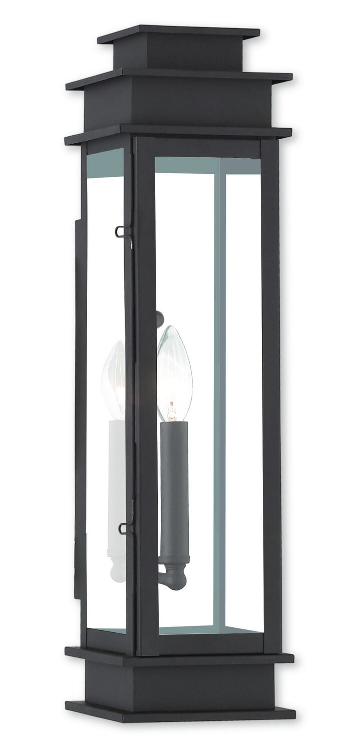 Princeton 1-Light Outdoor Wall Lantern in Bronze w with Polished Chrome Stainless Steel