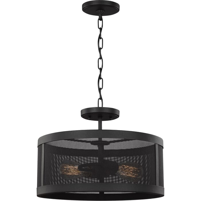 Sea Gull Gereon 2-Light Ceiling Light in Black Sea Gull Gereon 2-Light Ceiling Light in Black