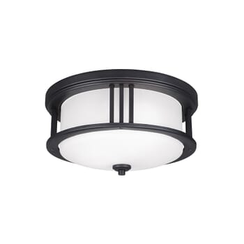 Sea Gull Crowell 2-Light Outdoor Ceiling Light in Black