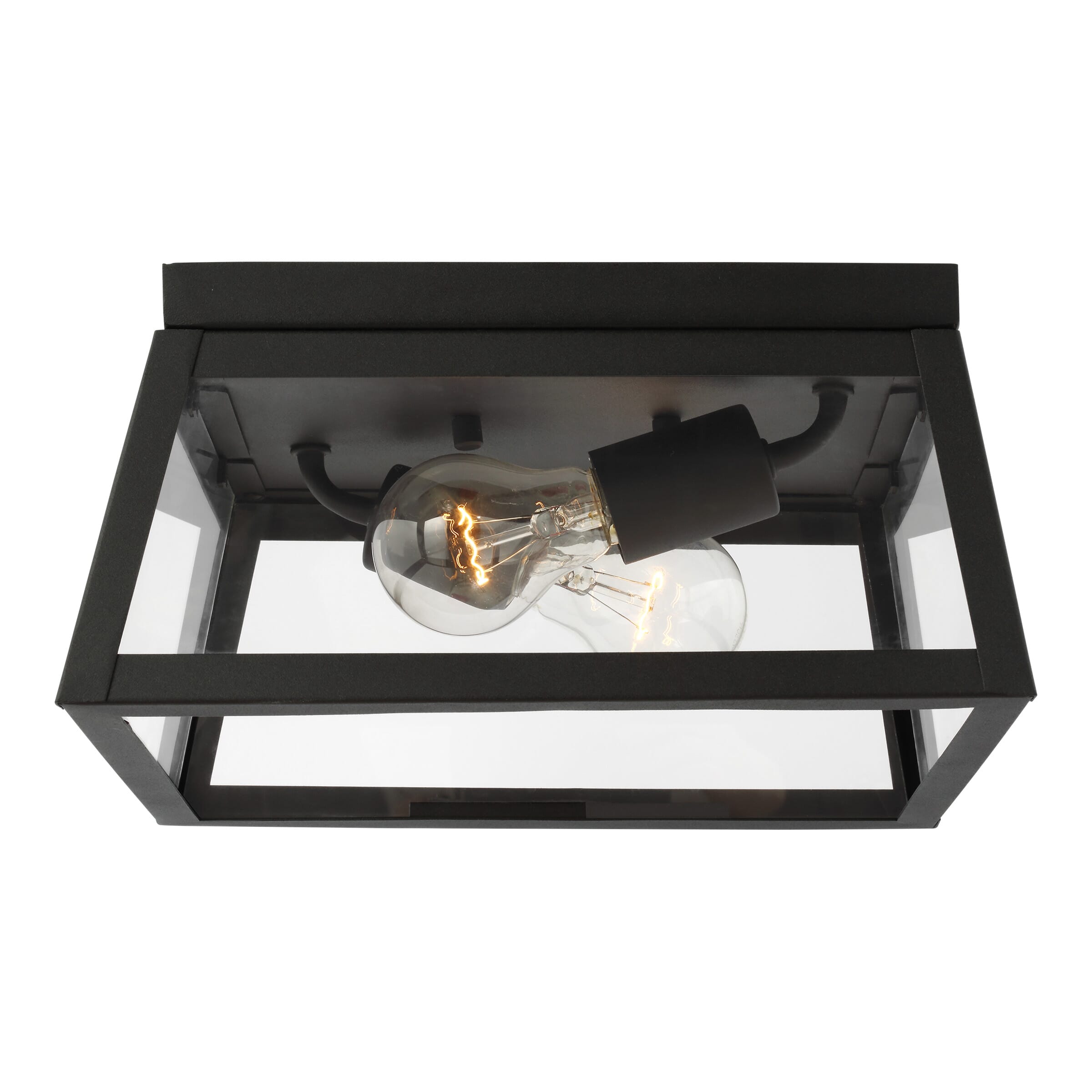 Sea Gull Founders 2-Light Outdoor Ceiling Light in Black