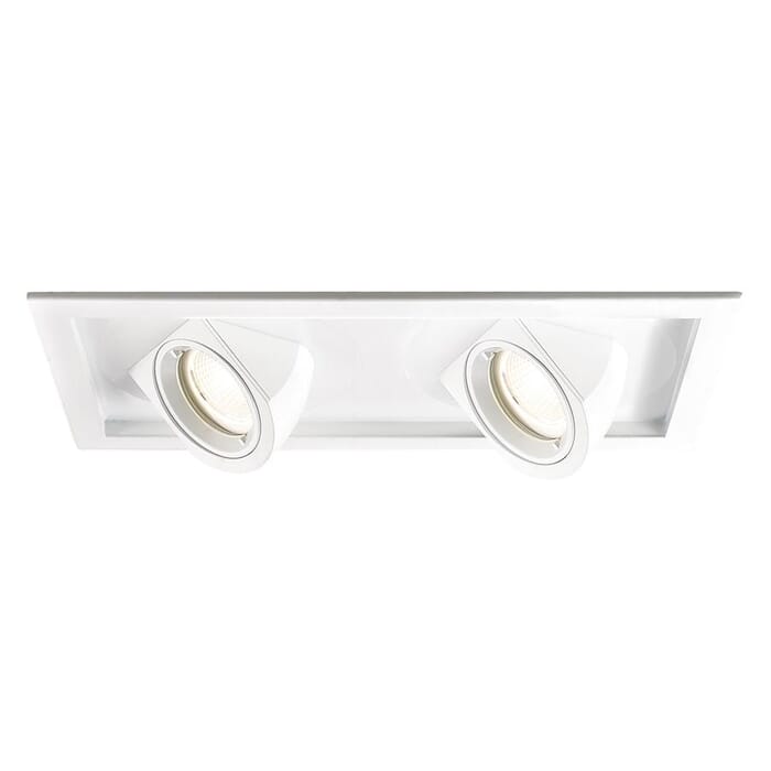 WAC Lighting Tesla 2-Light LED Multiple Two Light Trim with Light Engine in White WAC Lighting Tesla 2-Light LED Multiple Two Light Trim with Light Engine in White