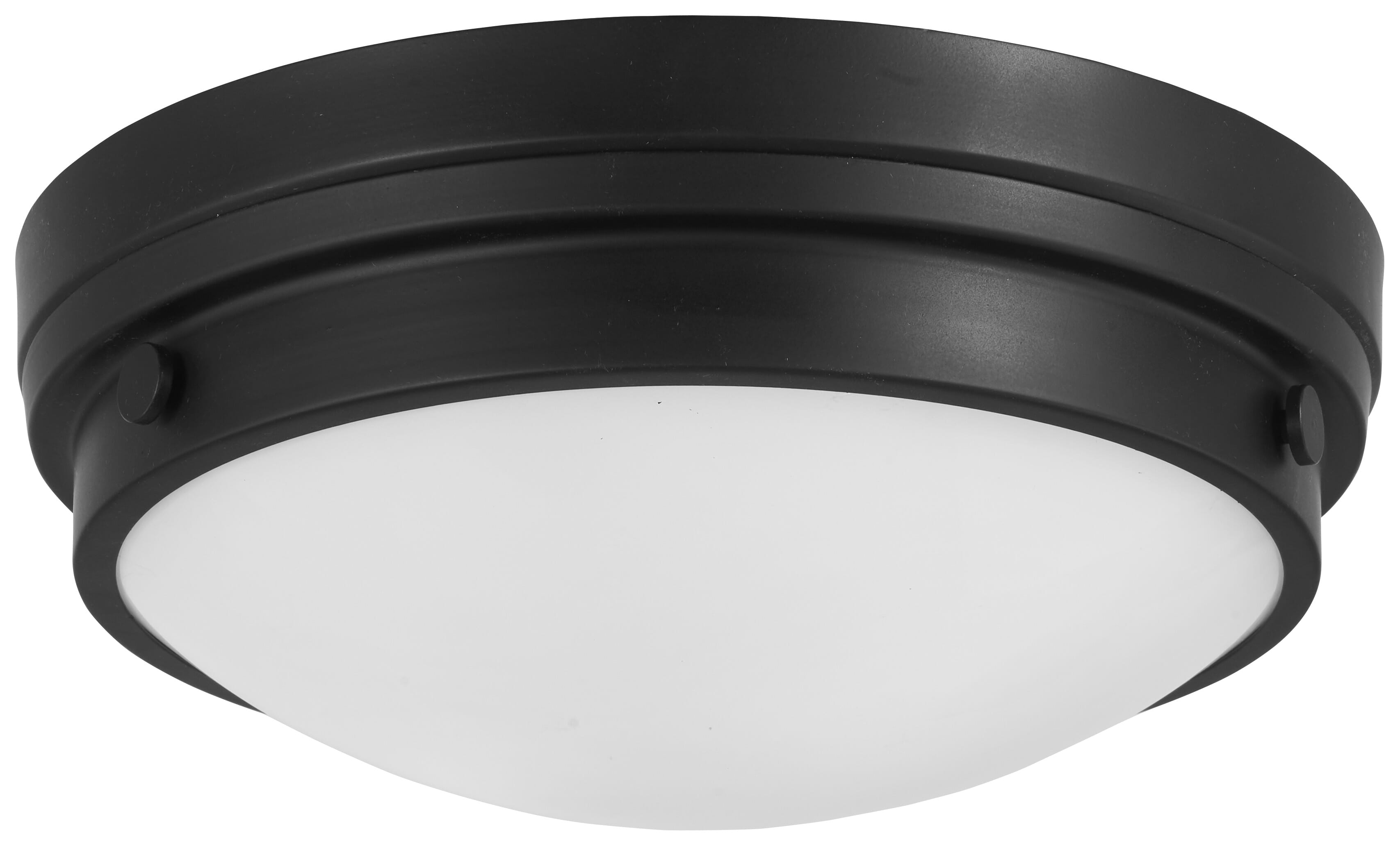 2-Light Ceiling Light in Coal