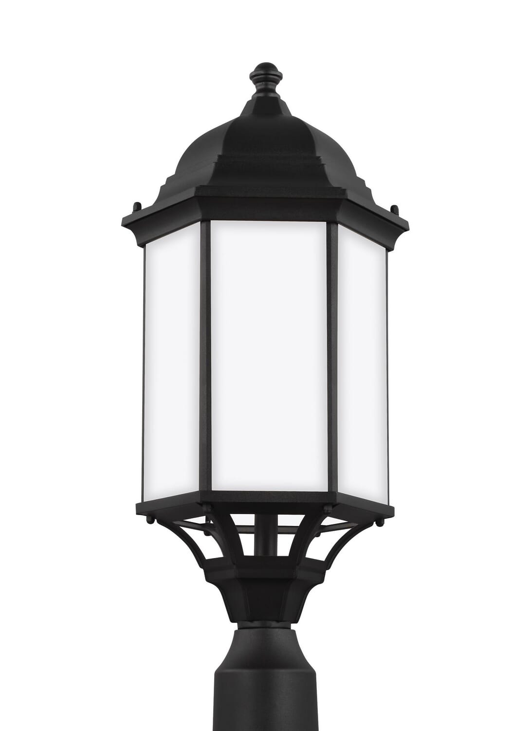 Sevier 1-Light Outdoor Post Lantern in Black