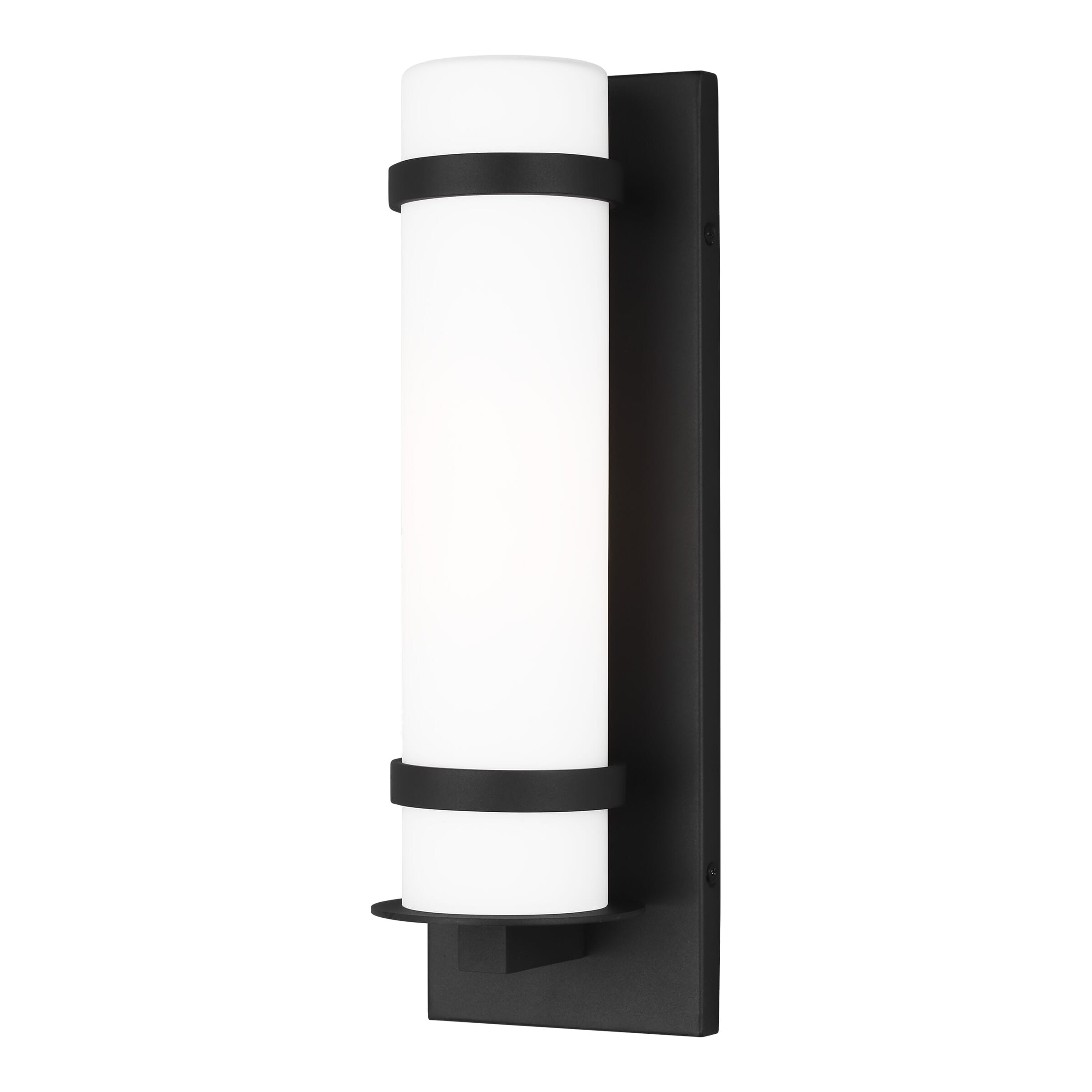 Alban Outdoor Wall Light in Black