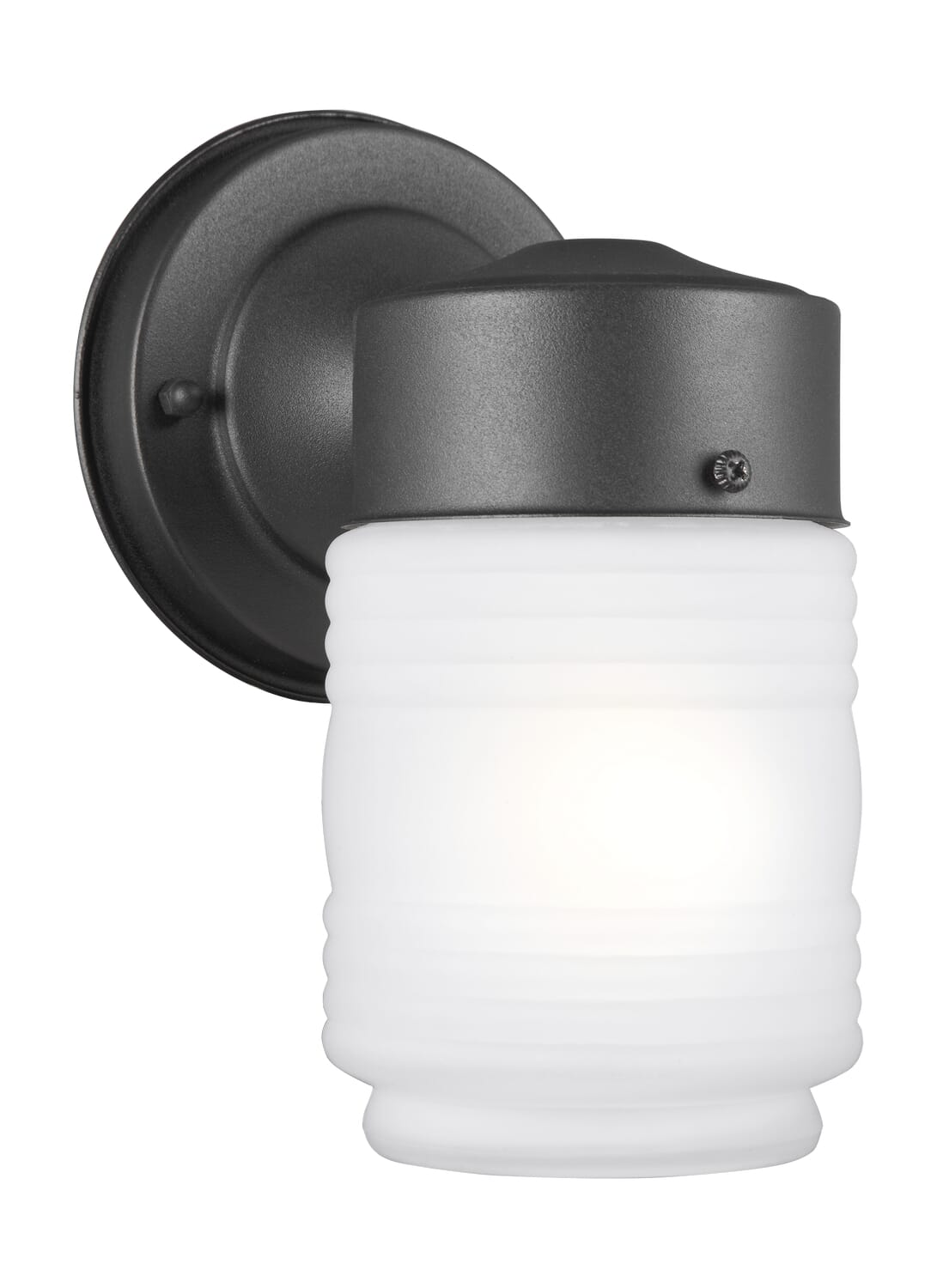 Outdoor Wall 1-Light Outdoor Wall Lantern in Black