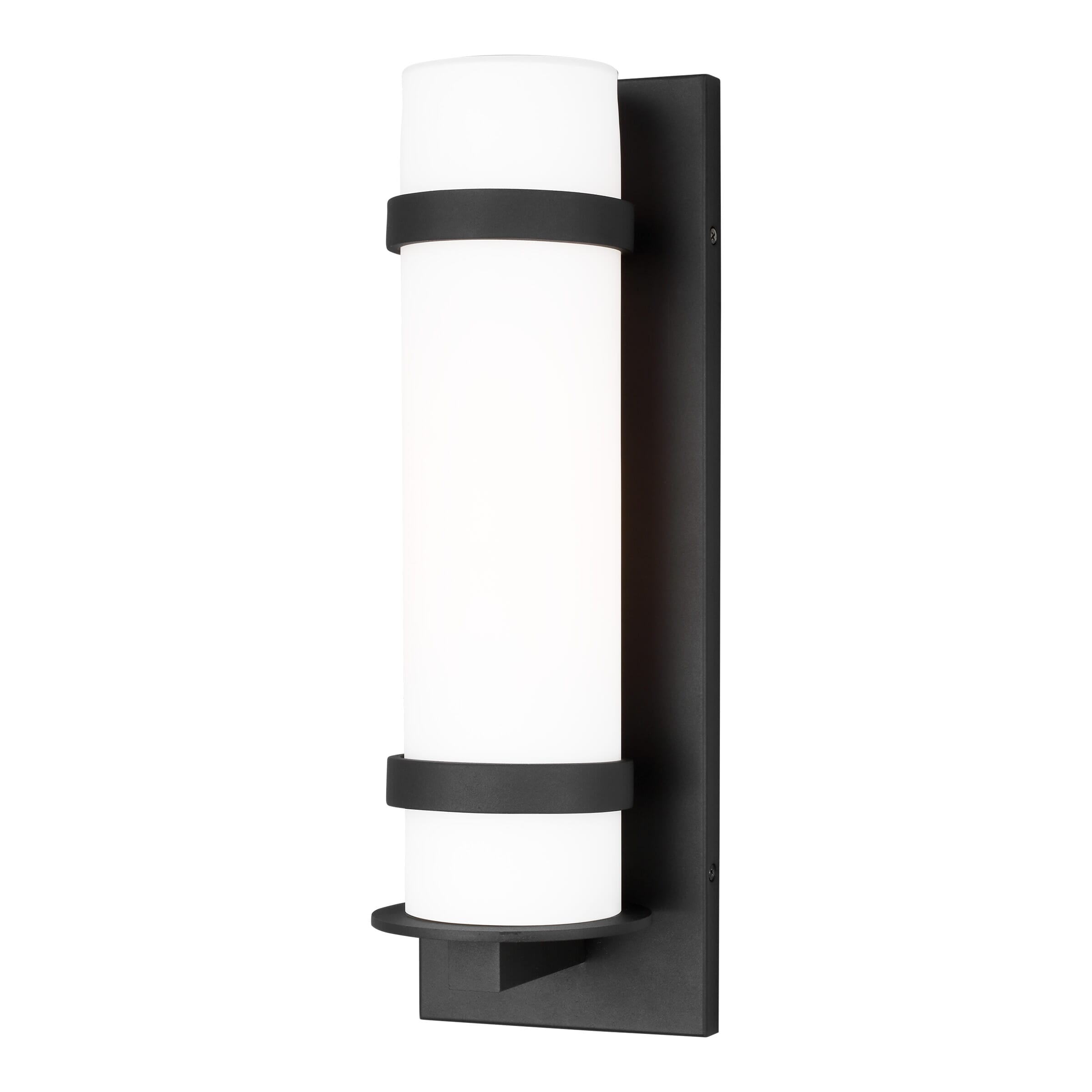 Alban Outdoor Wall Light in Black