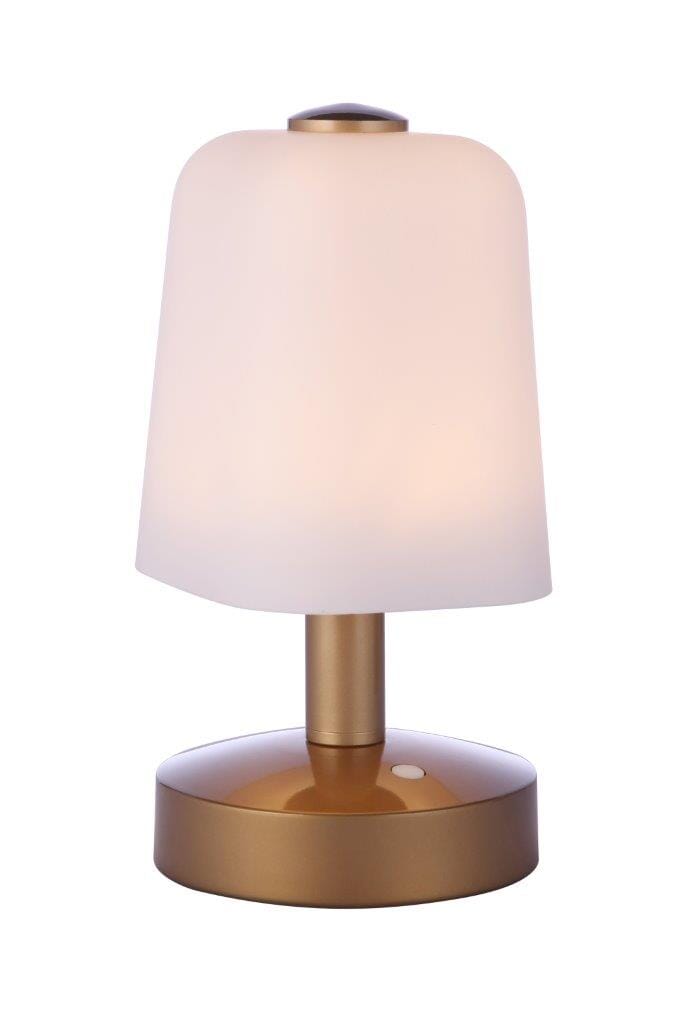Rechargable Led Por… - image