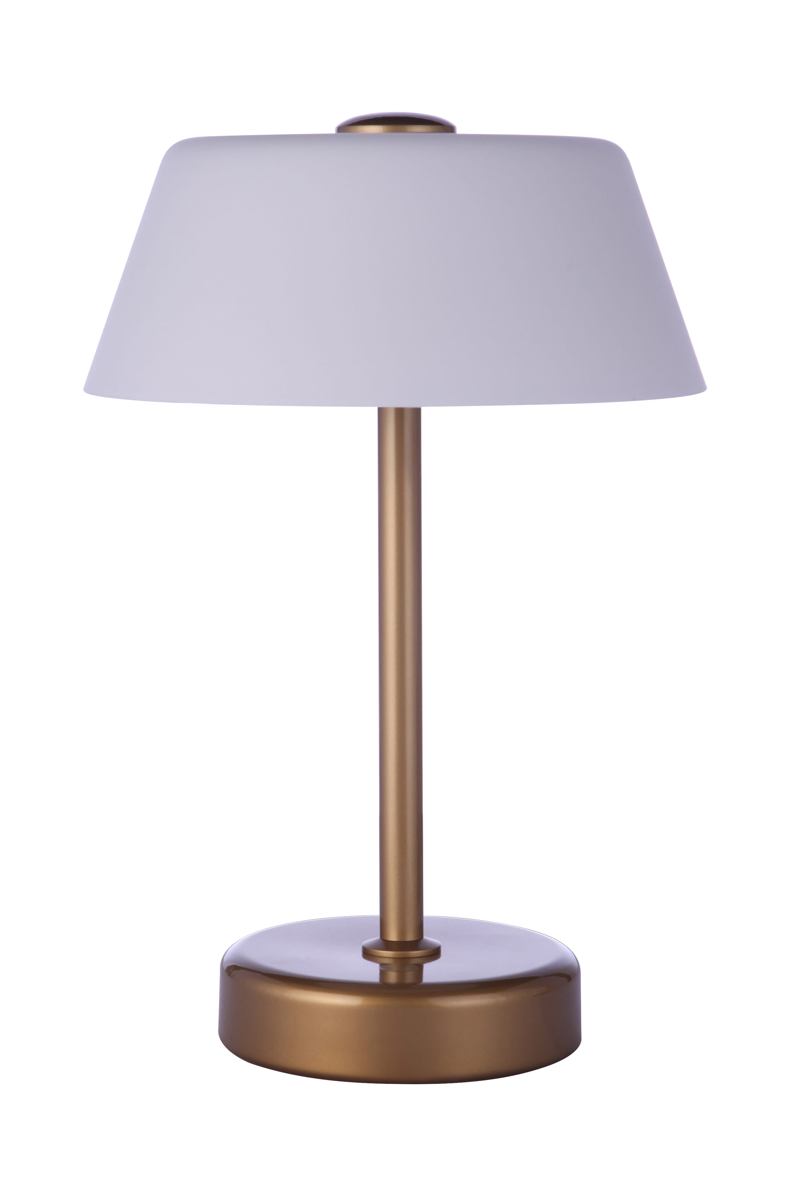 Rechargable Led Por… - image