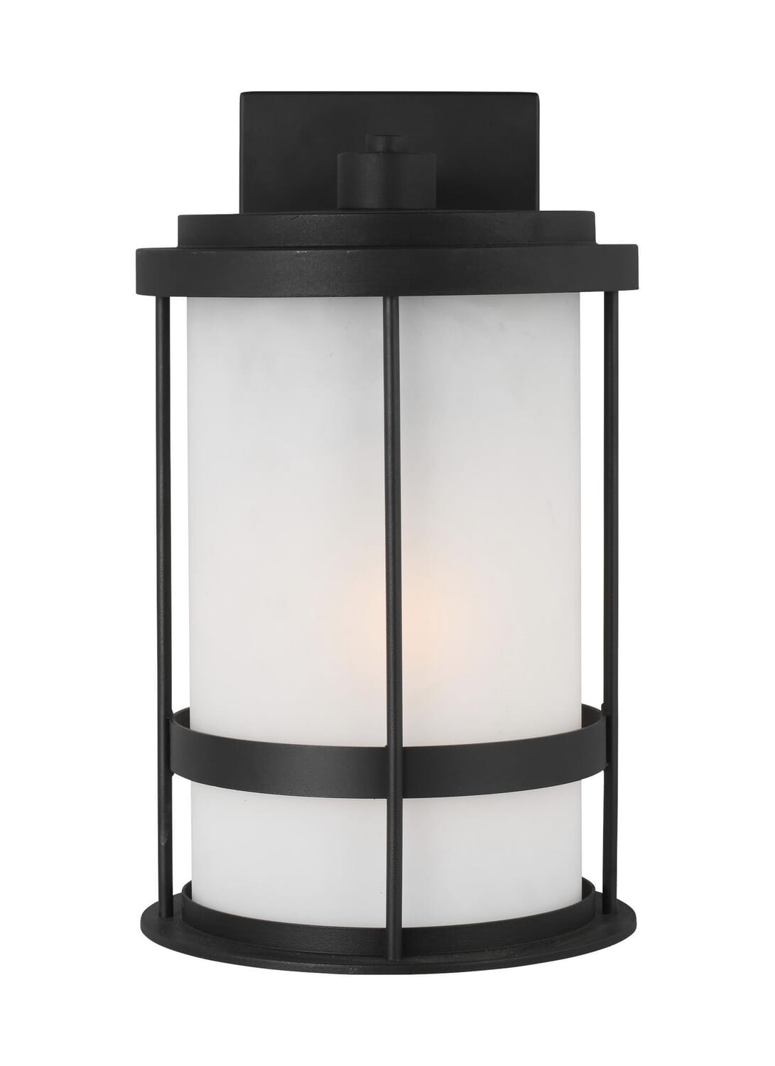 Wilburn 1-Light Outdoor Wall Lantern in Black