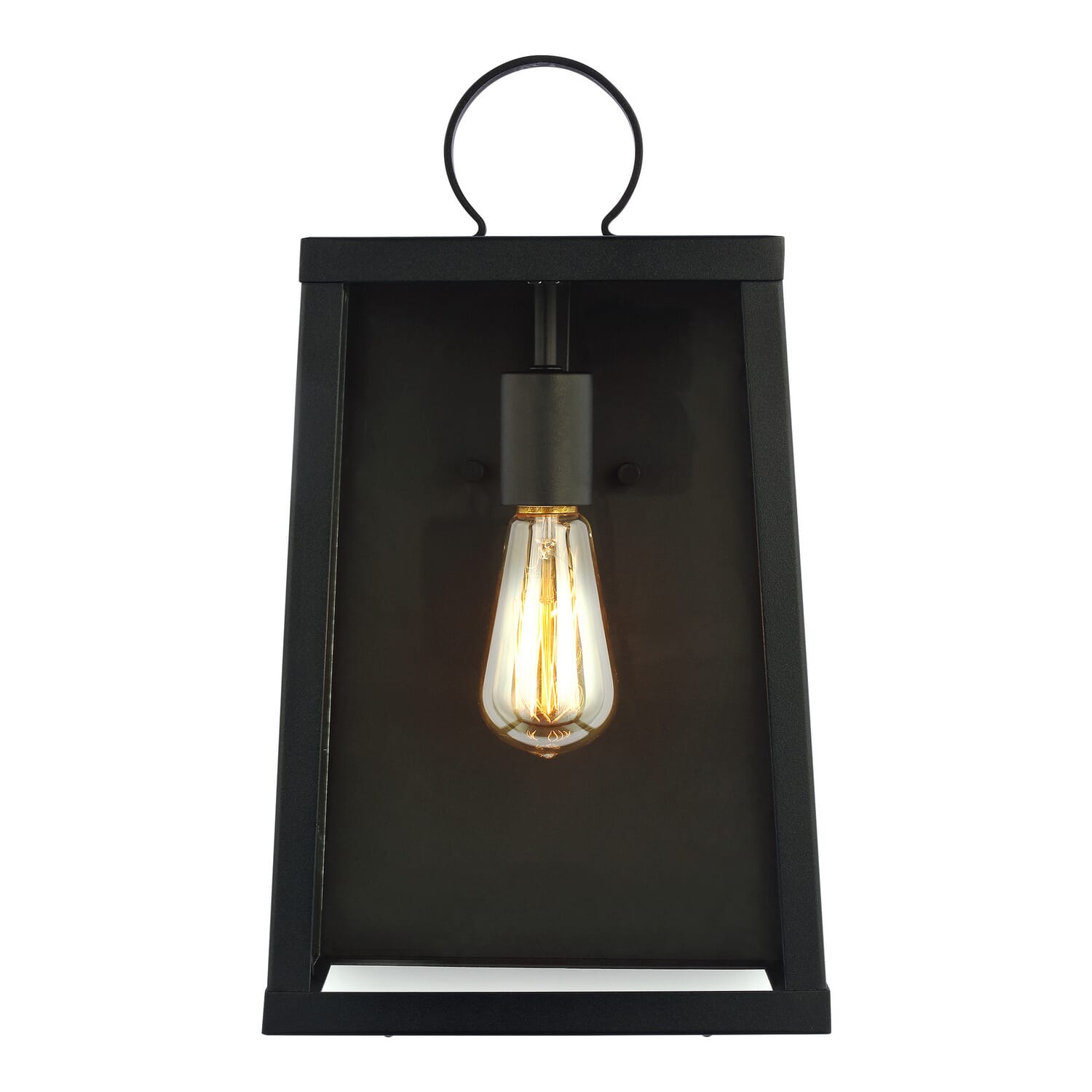 Marinus 1-Light Outdoor Wall Lantern in Black
