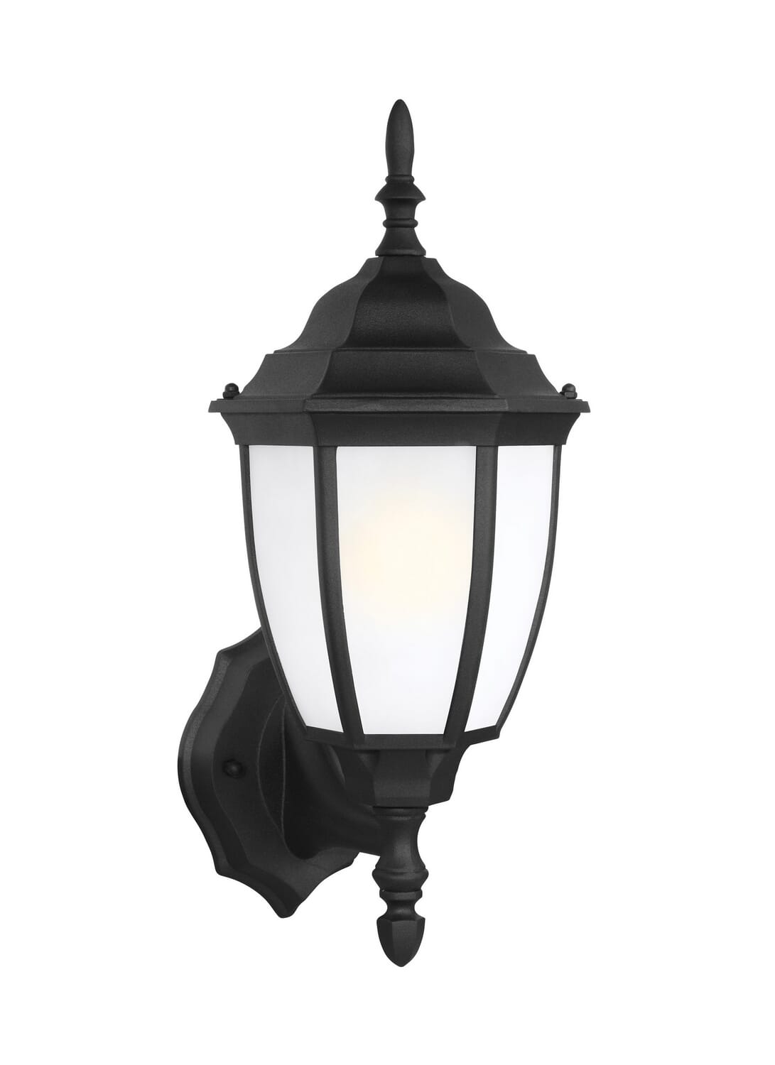 Bakersville 1-Light Outdoor Wall Lantern in Black