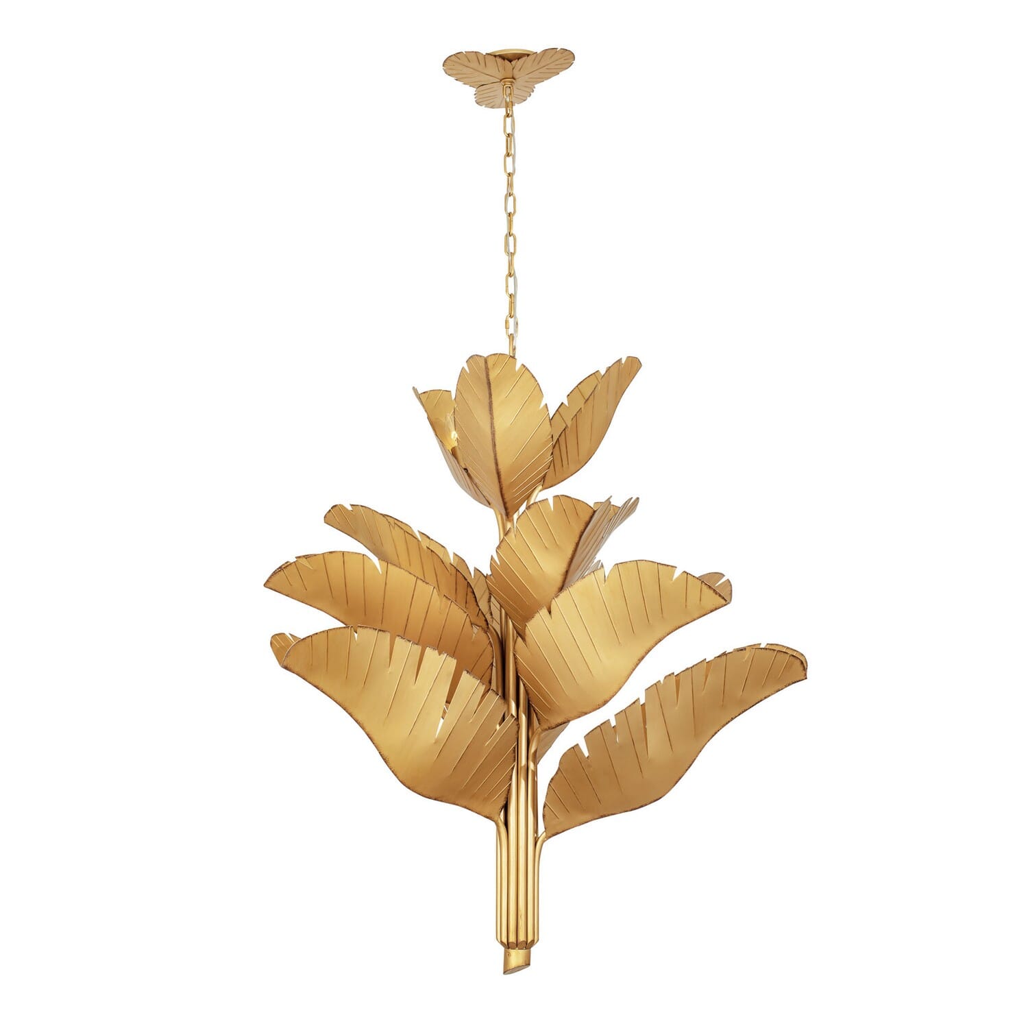 12 Light Chandelier by Varaluz