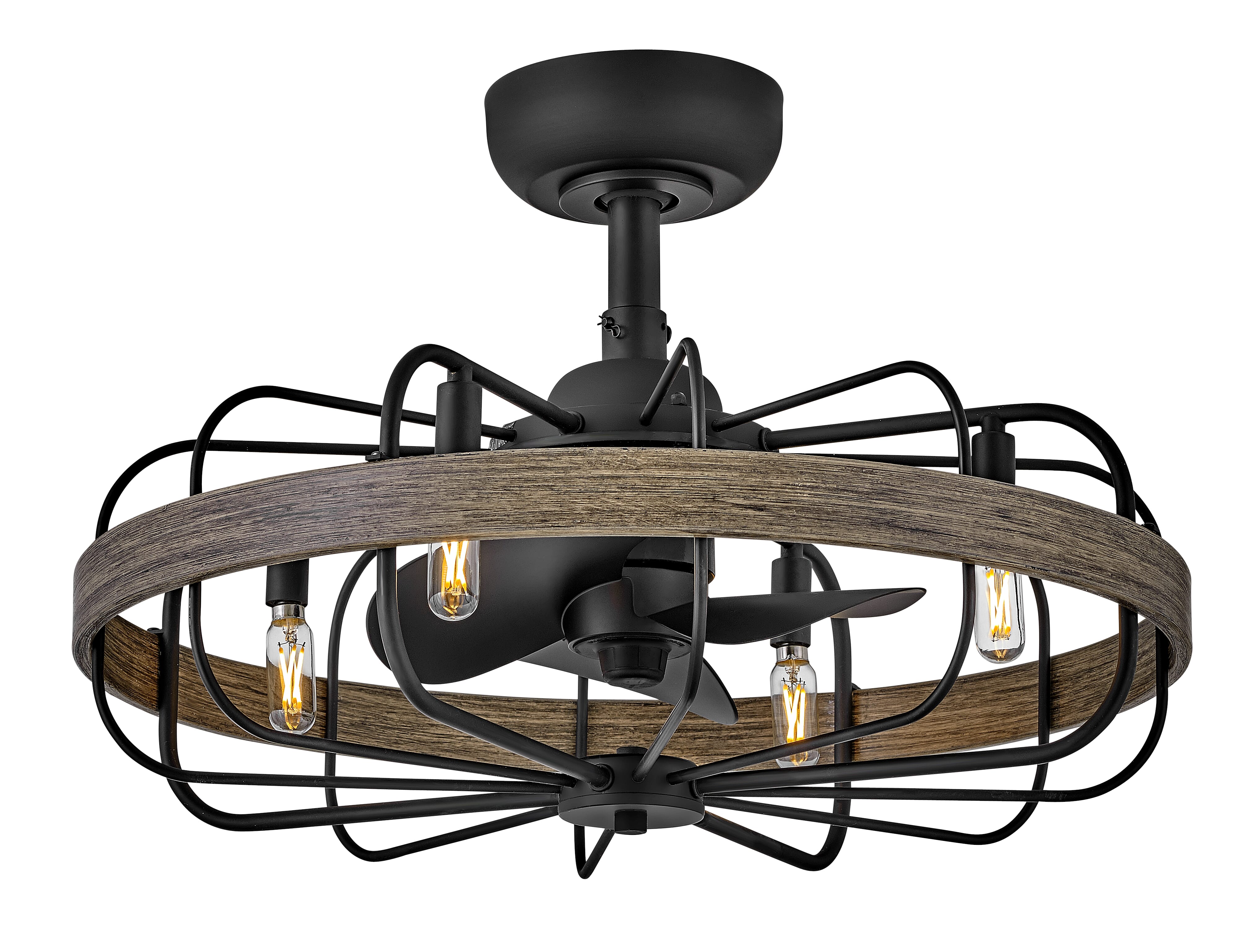 Eli 4-Light 22" LED Fandelier Light in Matte Black