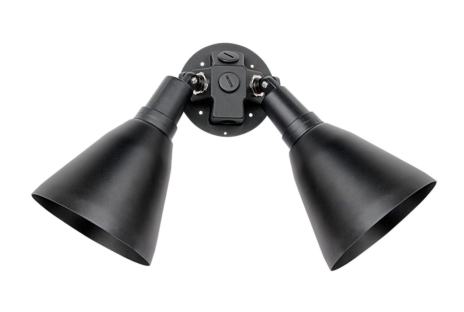 Spots 2-Light Outdoor Wall Lantern in Black